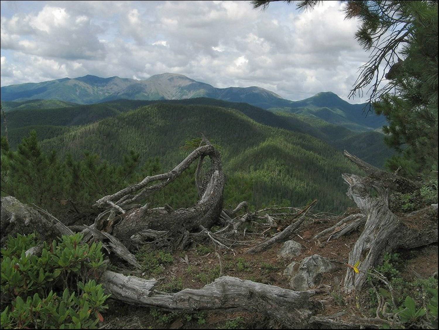 сихотэ_алинь, Alexander Gil