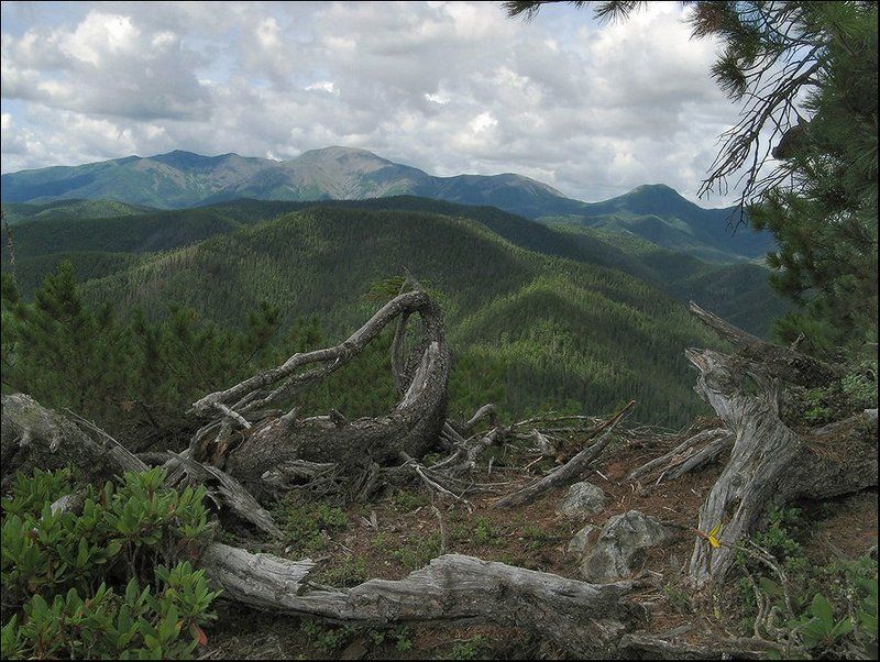 сихотэ_алинь Сихоте-Алинь фото превью