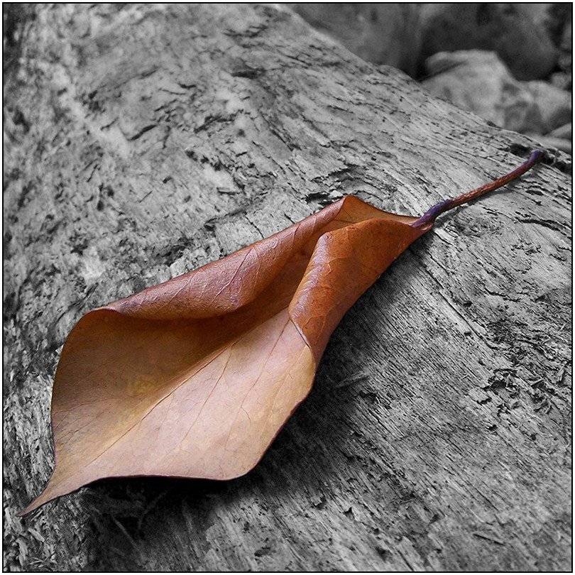 , Срибный Евгений