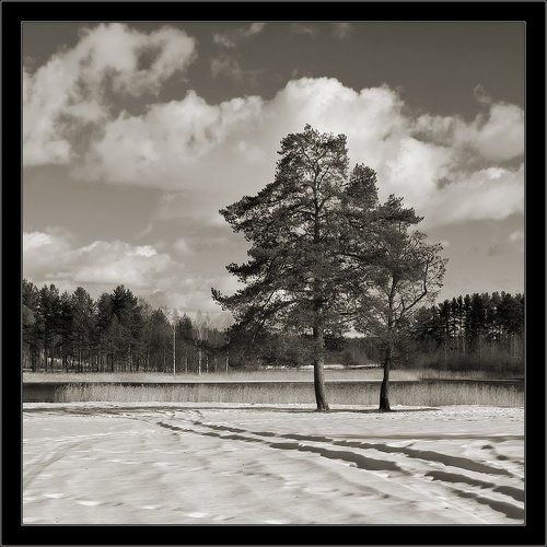 Простой мартовский пейзаж