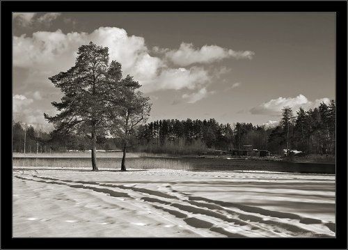 Простой мартовский пейзаж #2