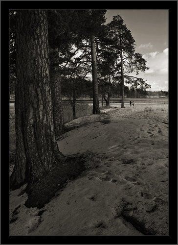 Простой мартовский пейзаж #3