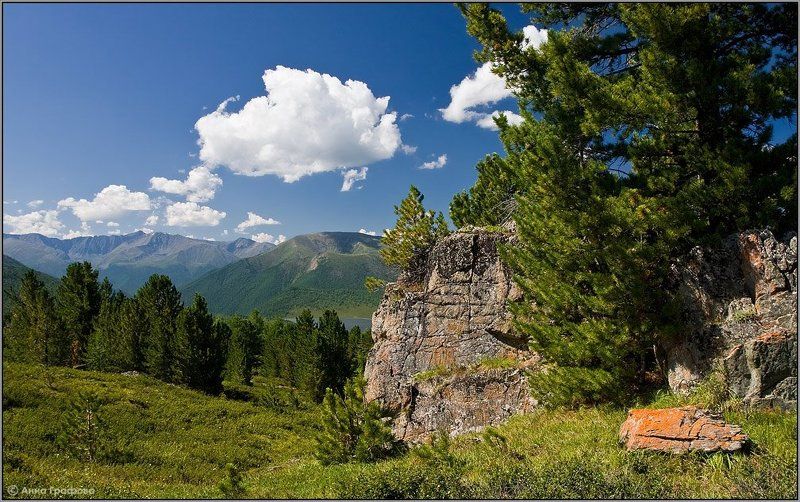 алтай, горы, горный алтай, саргальджук,  каракол, аня графова Открытка алтайская фото превью