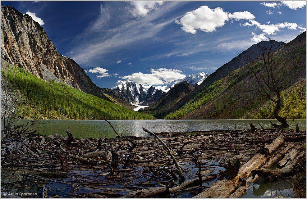 алтай, горы, горный алтай, озеро, машей, карагем-баши, машей-баши, дерево, аня графова, Аня Графова
