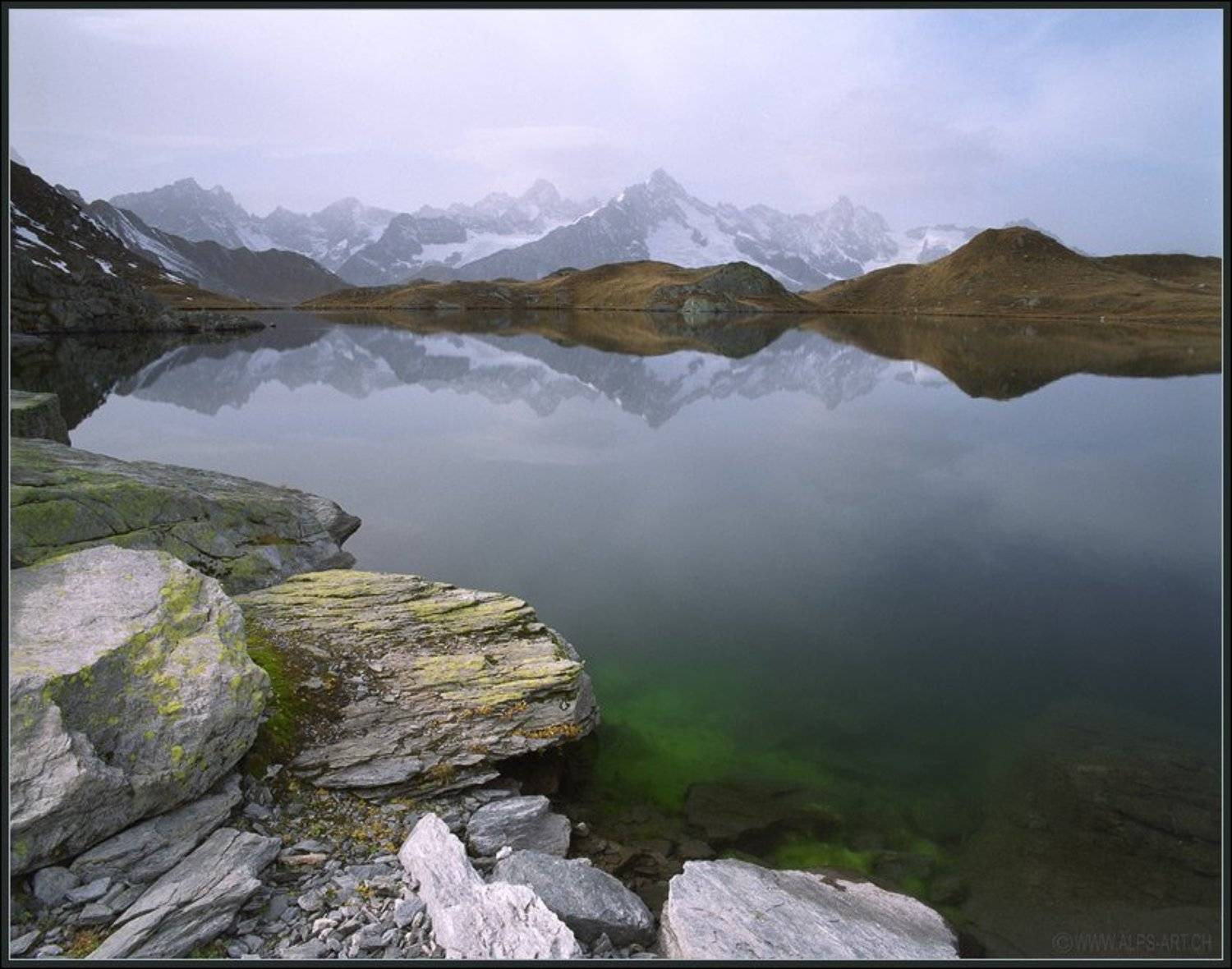 , Дмитрий Кузнецов