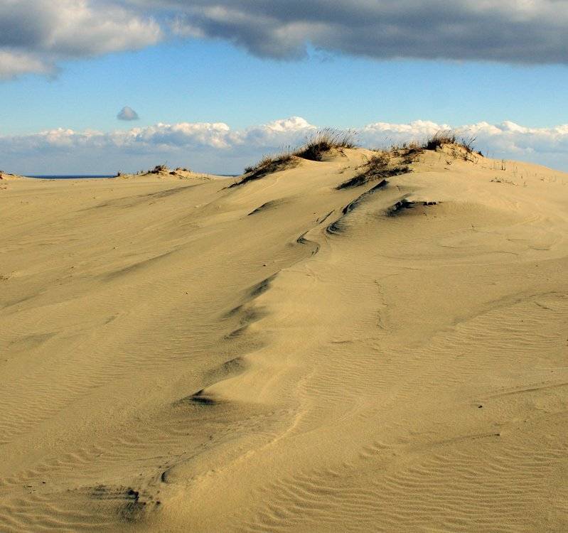 , Павел Дунюшкин