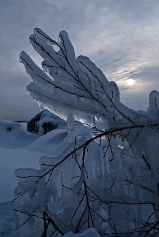 зима,обь  фото превью