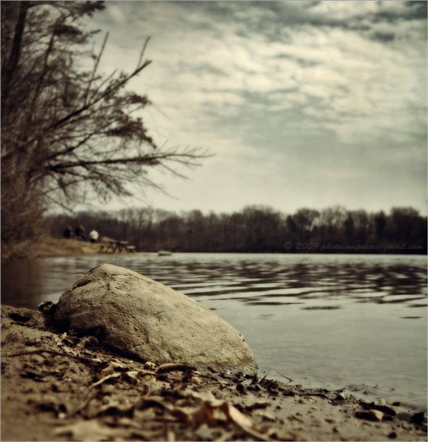 пейзаж, pilgrim, пленка, средний формат, 6х6, rolleiflex automat, Pilgrim