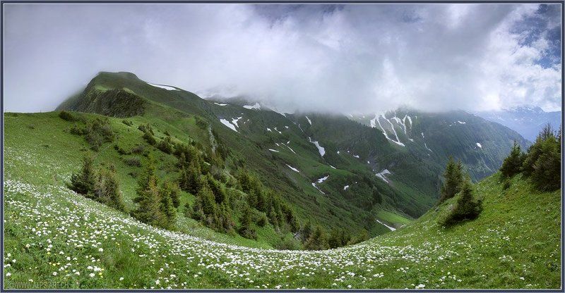 альпы, лето Цветочные изгибы гор фото превью