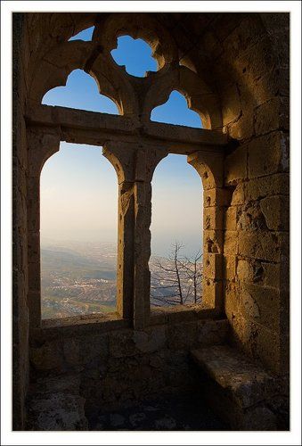 The window