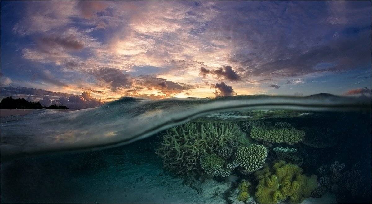 Мальдивы, Нетушки