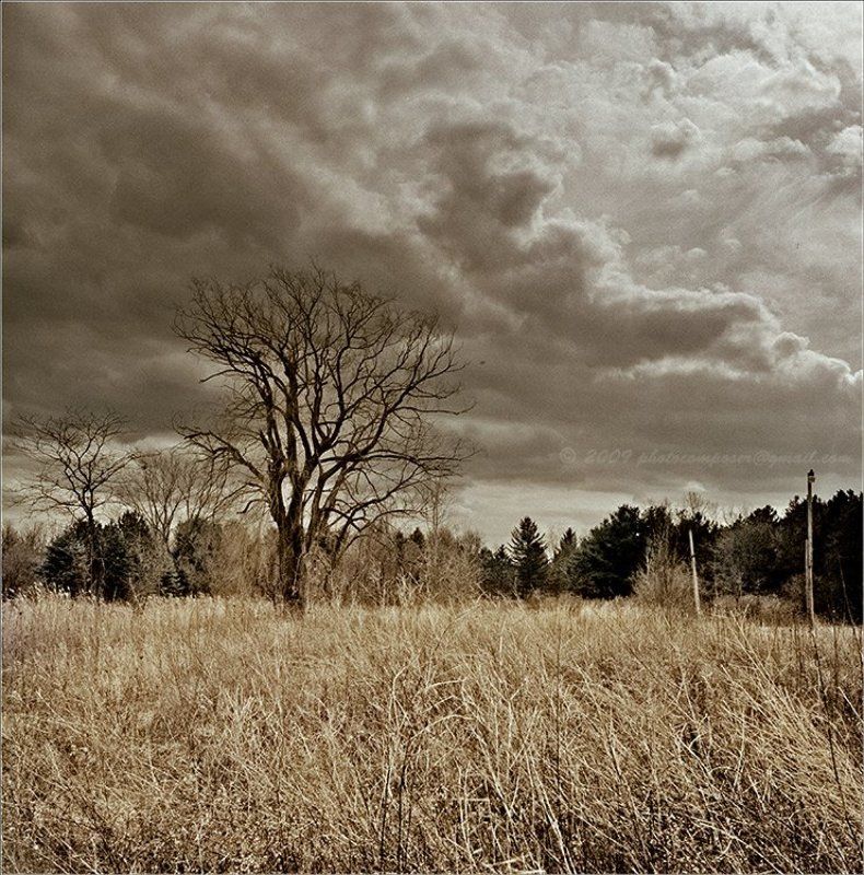 пейзаж, pilgrim, пленка, средний формат, 6х6, hasselblad 500c, distagon Dry and cold.... фото превью
