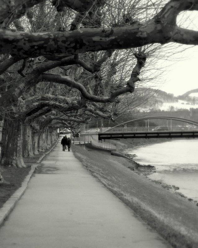 зальцбург, Slowhill