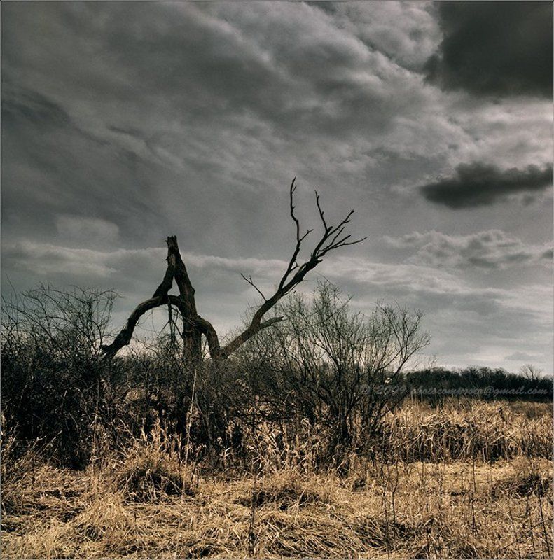 пейзаж, pilgrim, пленка, средний формат, 6х6, hasselblad 500c, distagon Дон-Кихот фото превью