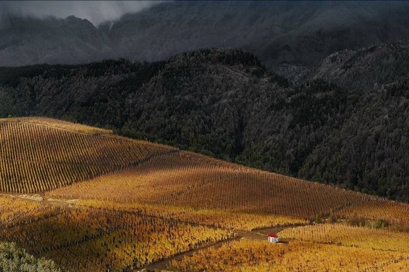 , Андрей  Золочевский