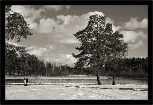 Простой мартовский пейзаж #4