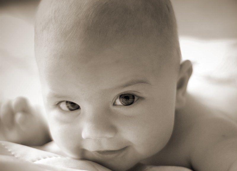 Хитрюга фото превью