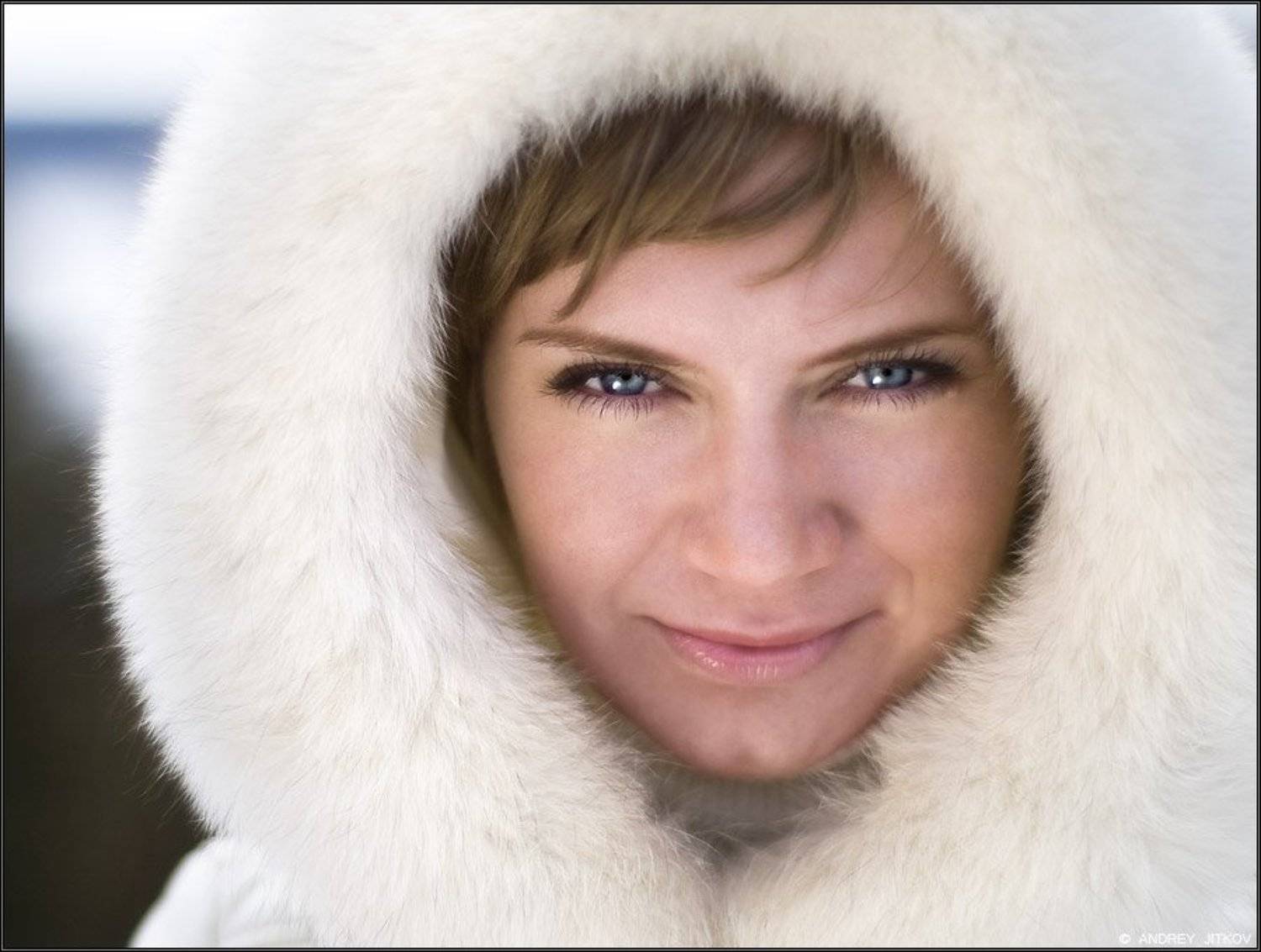 , Андрей Житков