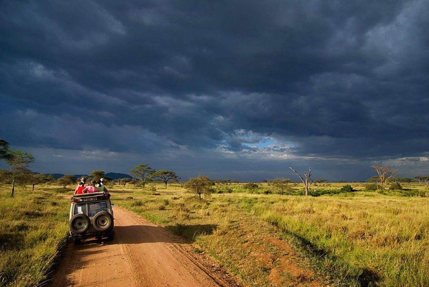 танзания, серенгети, Leonid Shtishevskiy