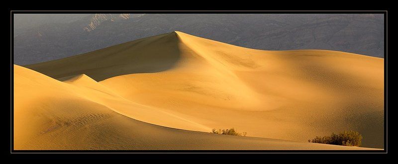 Golden Dunes фото превью