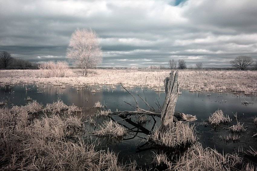 , Токарь Дмитрий