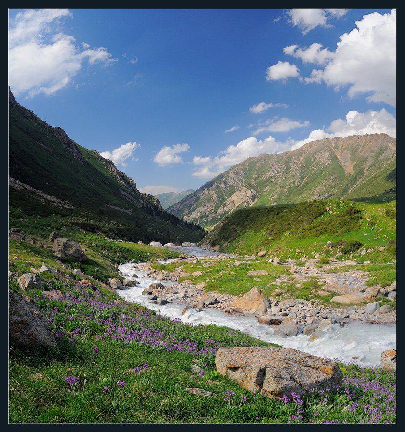 горы,природа,река,скалы,цветы,облака,ущелье,лес,трава, Андрей Ухов