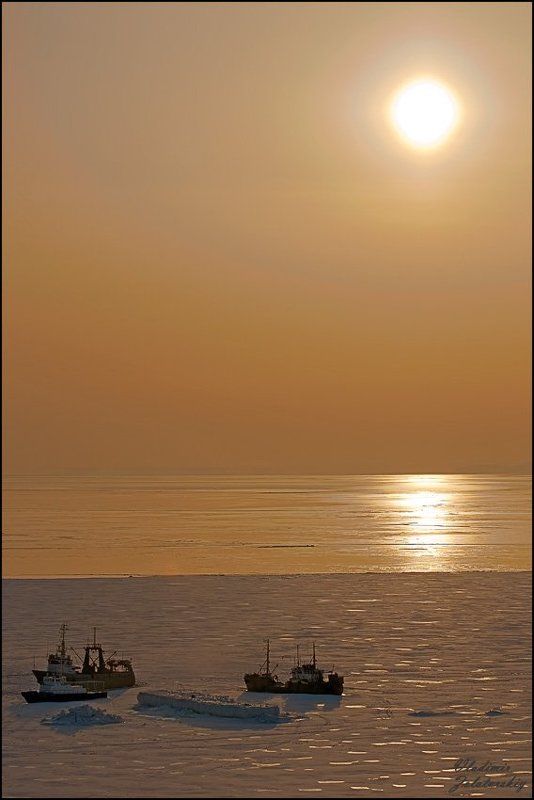 Light of the liberty фото превью