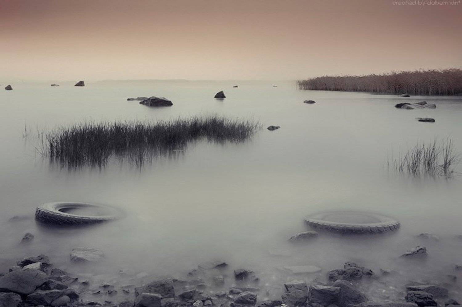 , Денис Богомолов