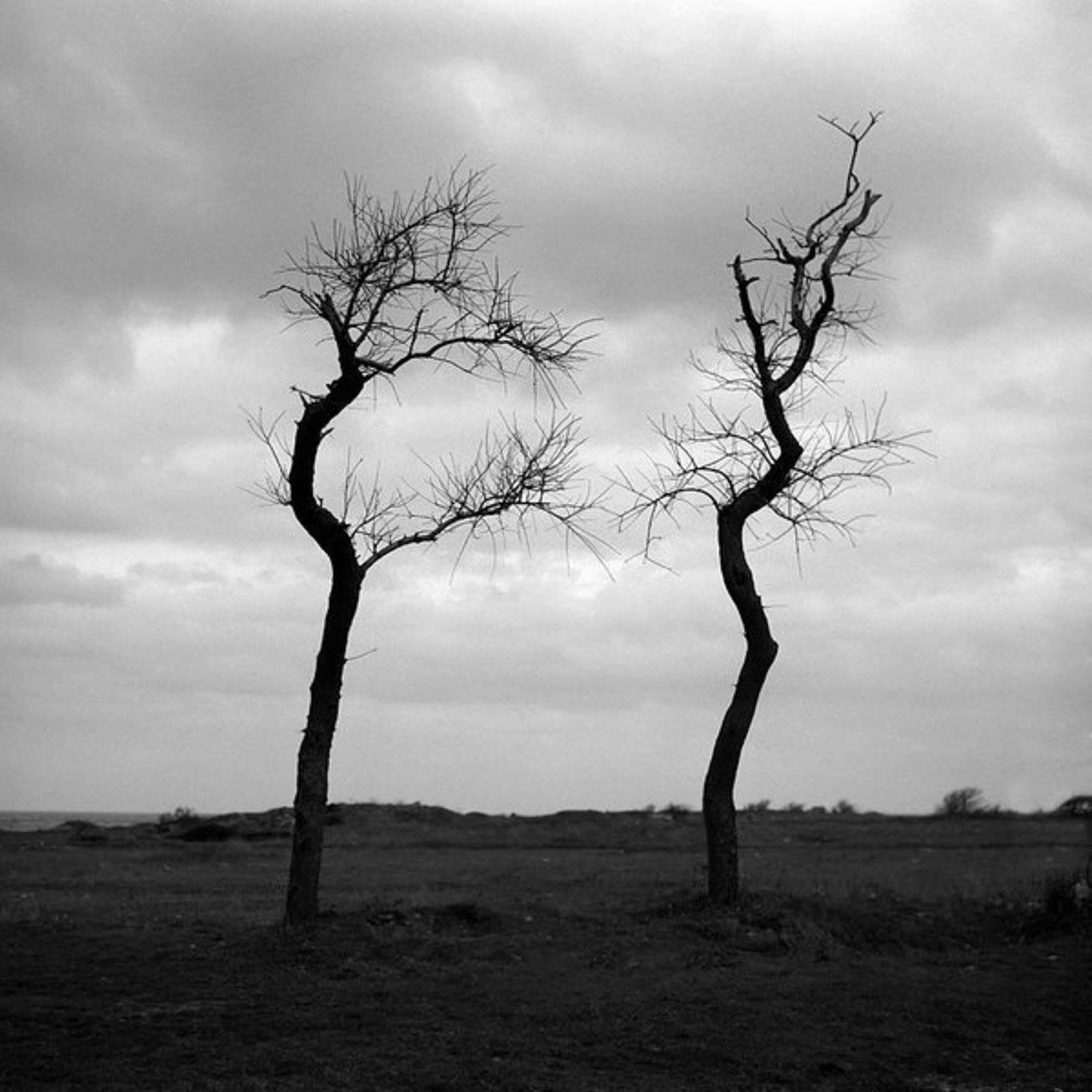 , Токарь Дмитрий