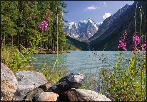 Опять Шавлинское :-)