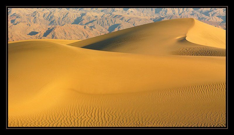 Golden Dunes фото превью