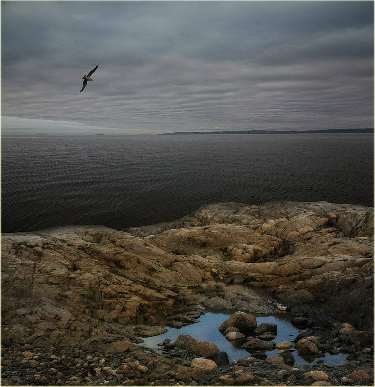 баренцево море, малая немецкая бухта,, Lampadina (Svetlana Maximova)