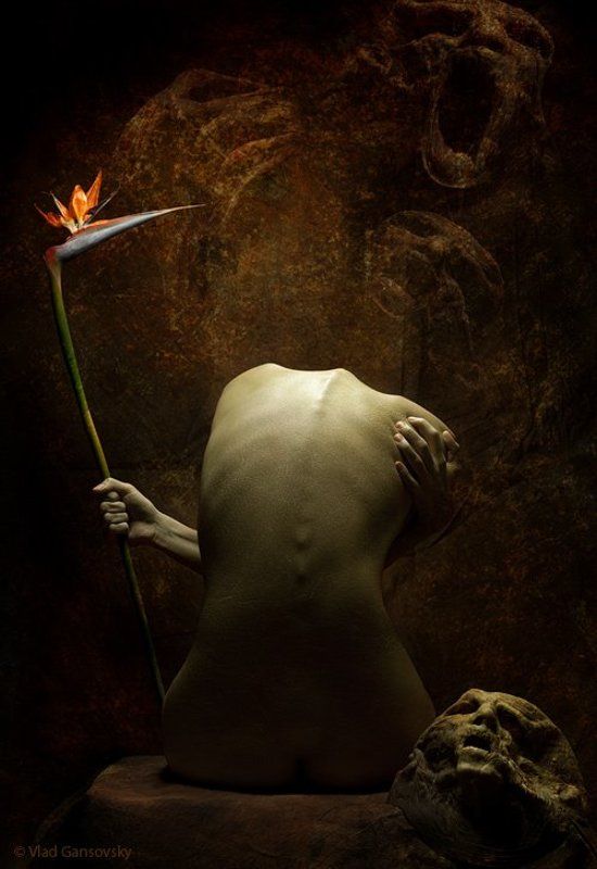 Фотография Влада Гансовского фото превью