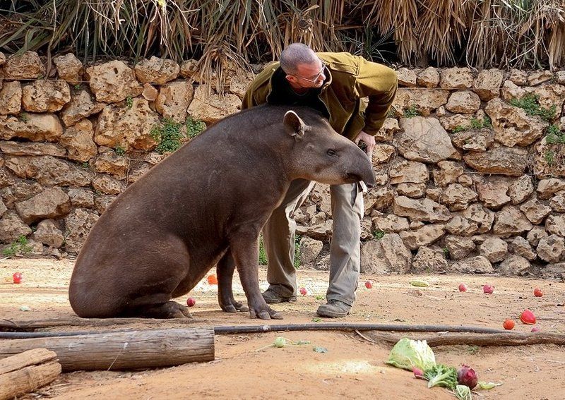 Ну, а....вторая справа? фото превью