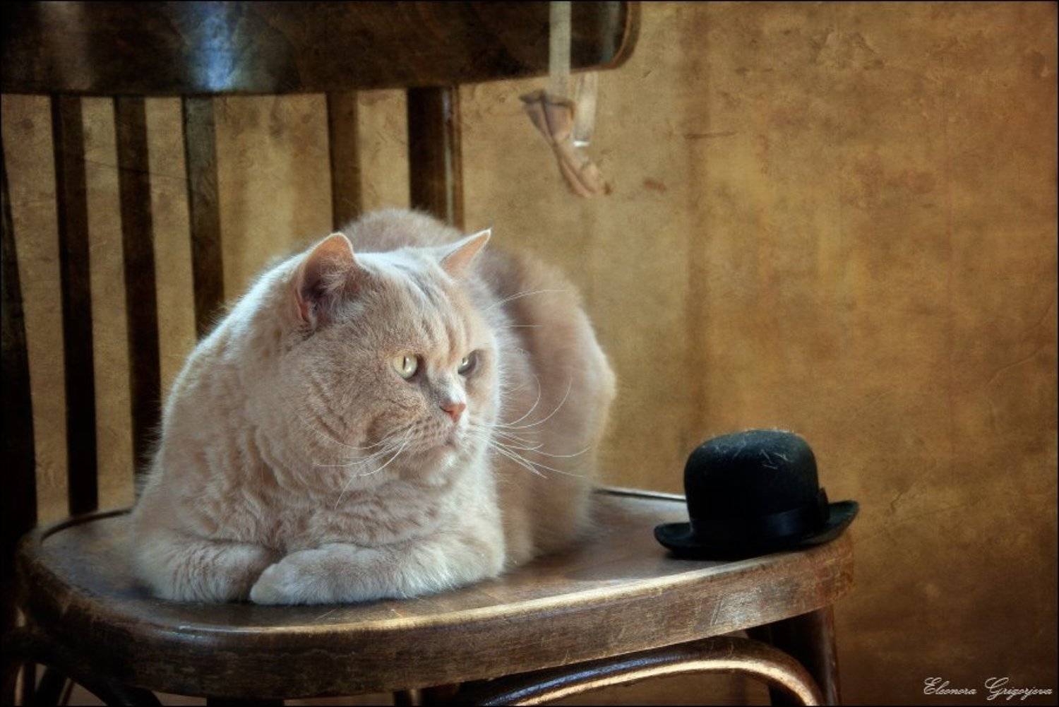 , Eleonora Grigorjeva