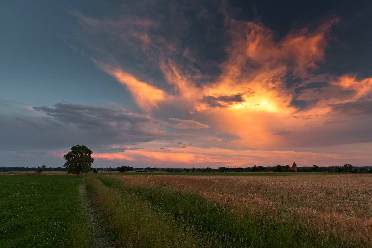 , Łukasz Sok&oacute;ł