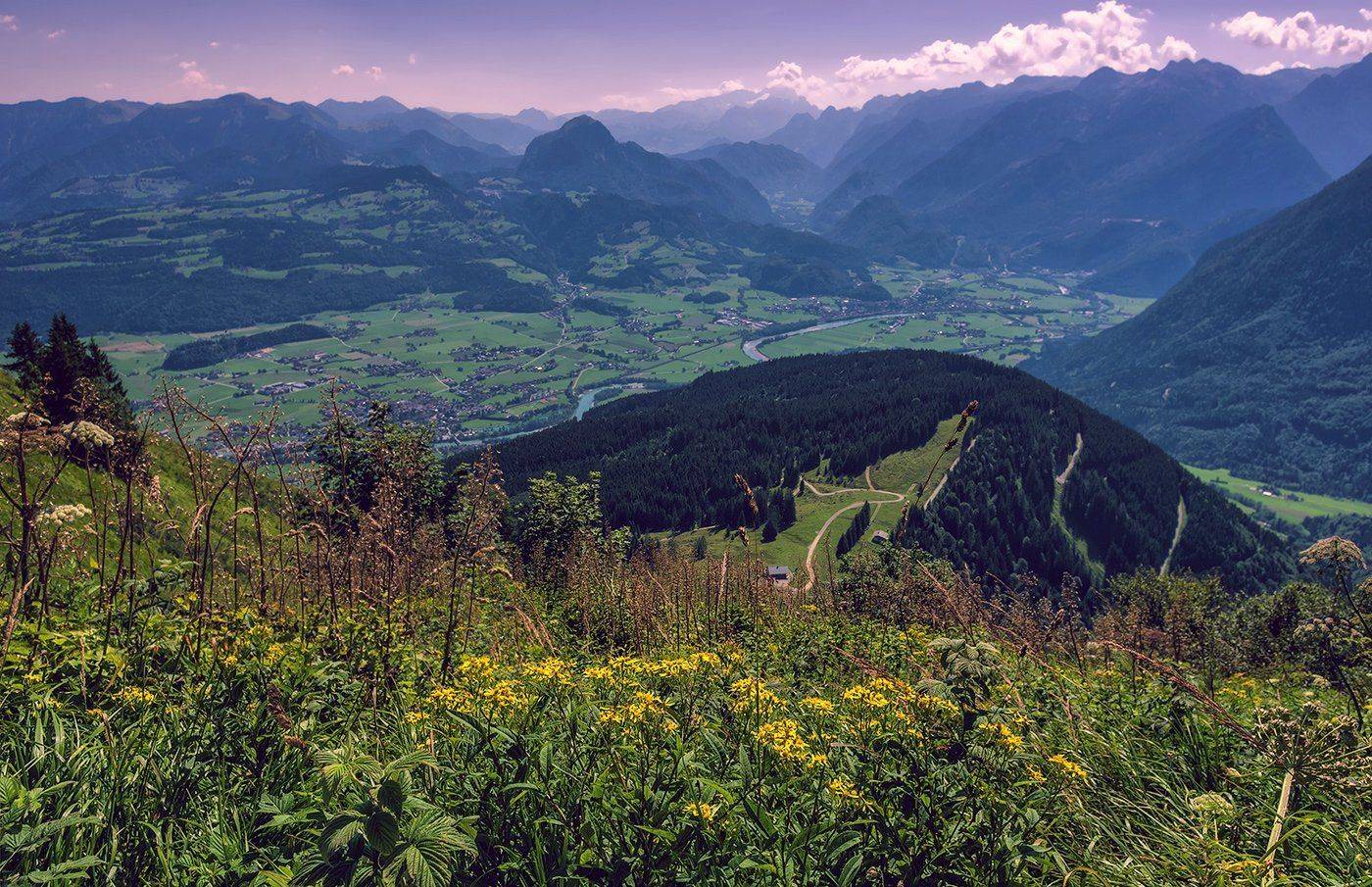 , Игорь Мелекесцев