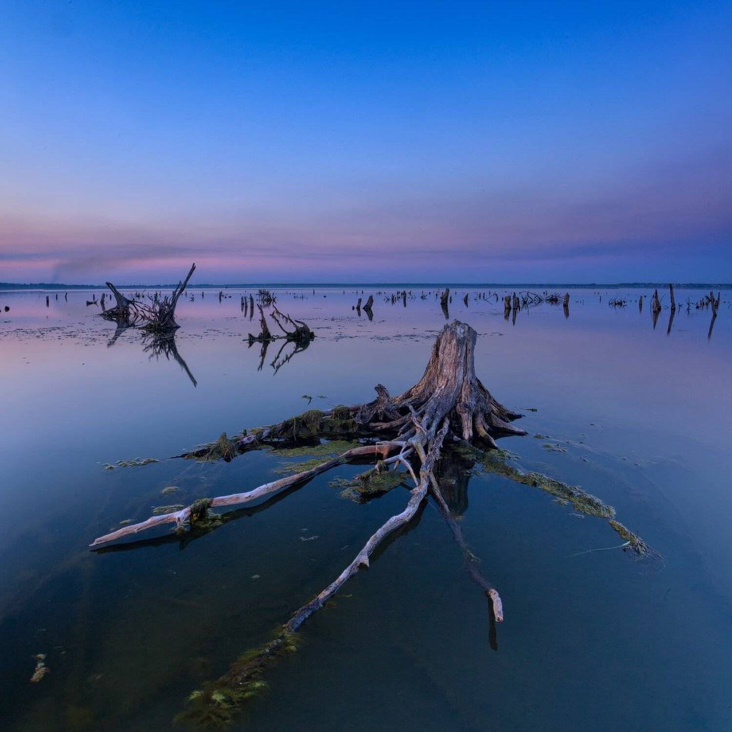 , Данил Ромодин