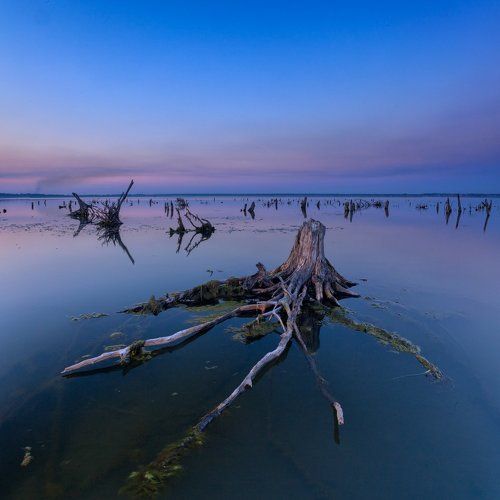 То что мёртвое - умереть не может