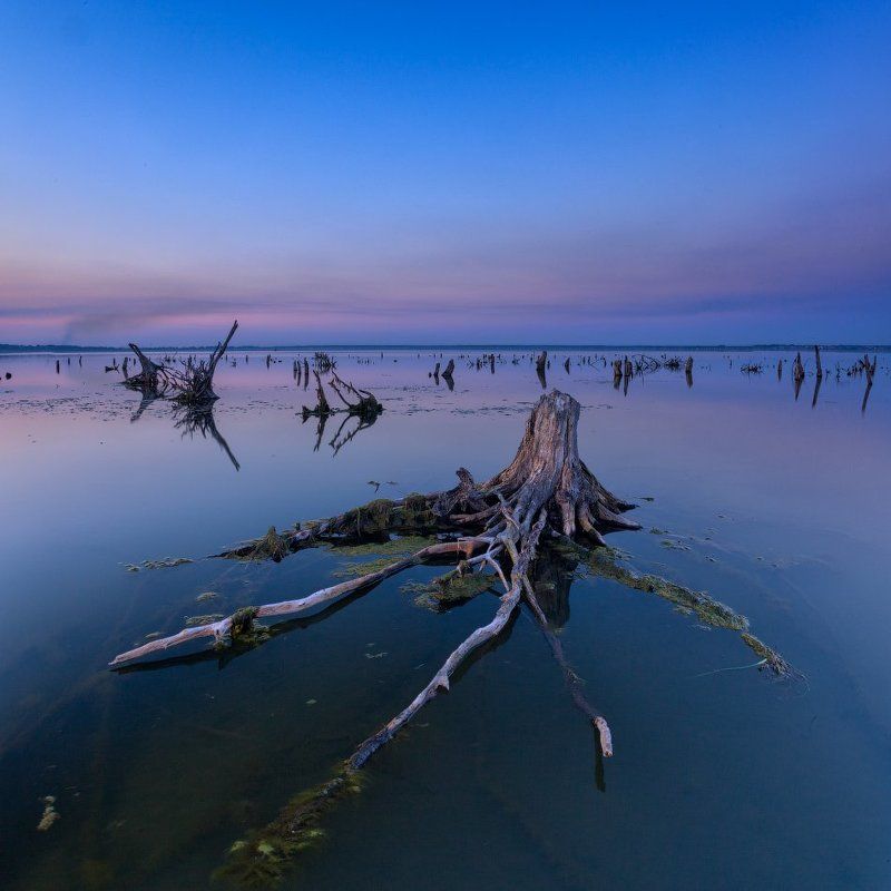 То что мёртвое - умереть не может фото превью