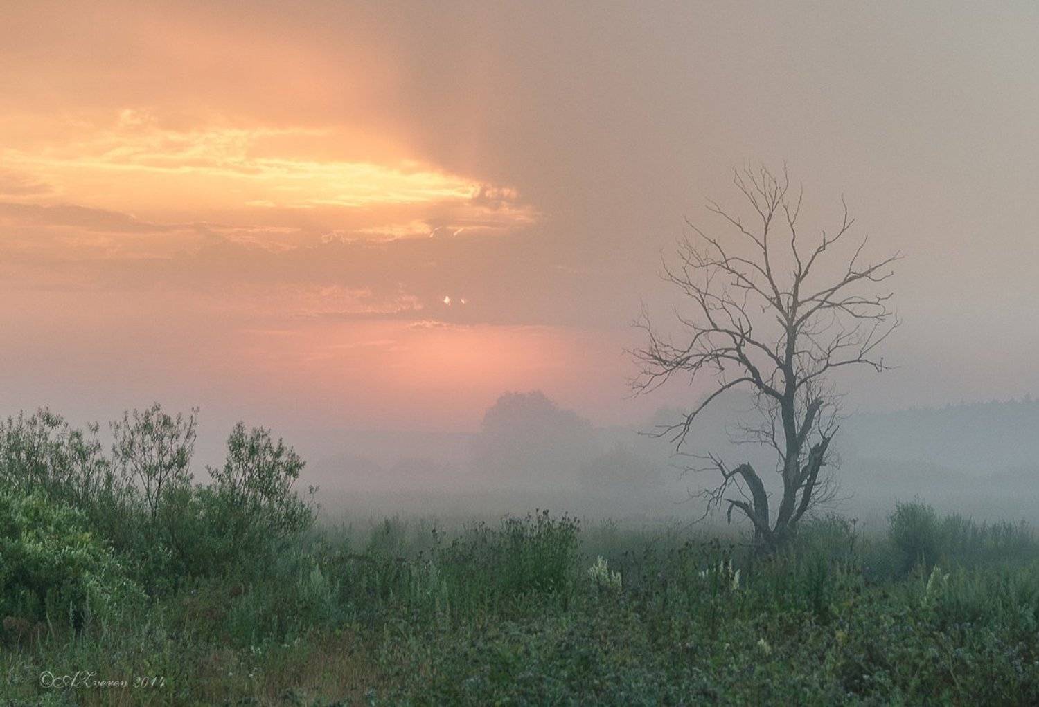 , Анатолий Зверев