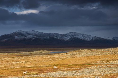 После шторма