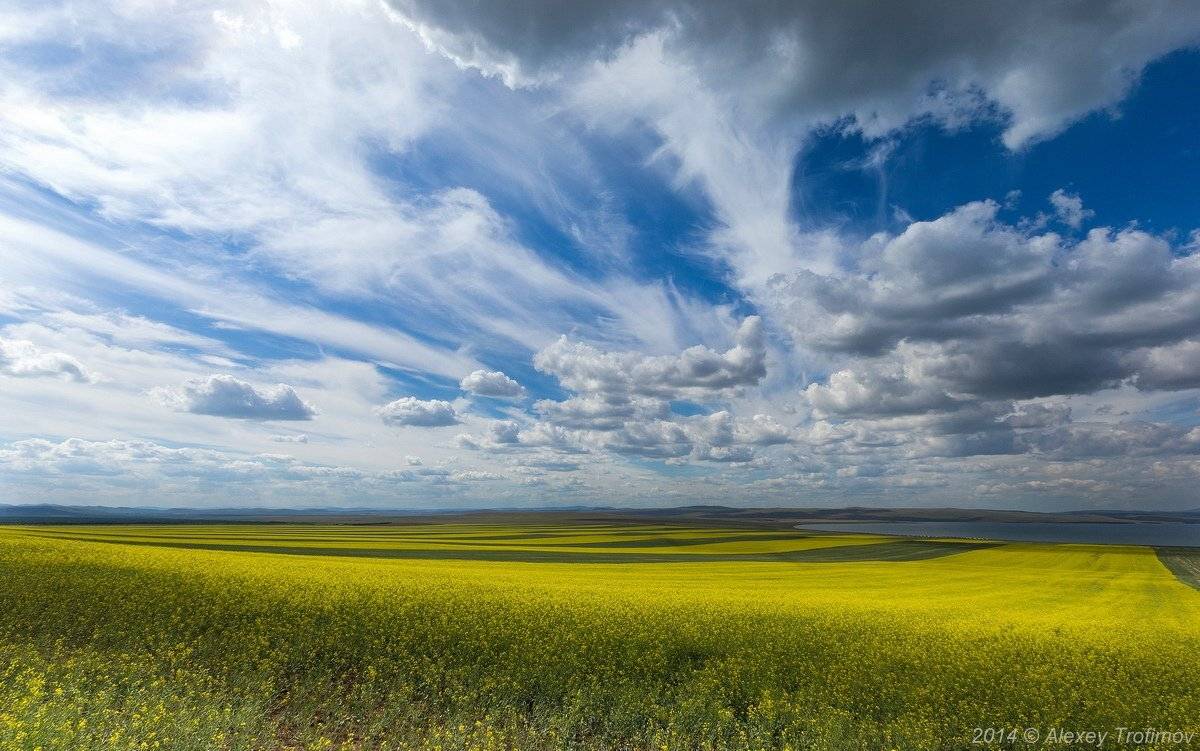 , Алексей Трофимов