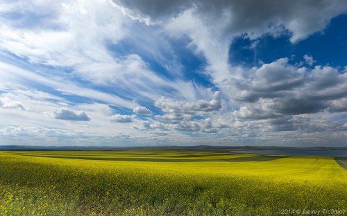 Летняя палитра