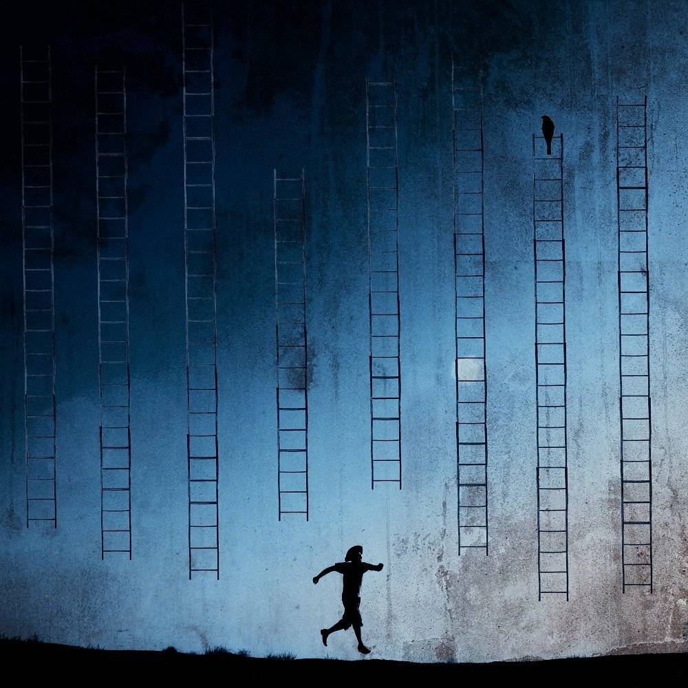 concept, conceptual, surreal, milad safabakhsh, fineart, human, ladder, bird,, milad safabakhsh