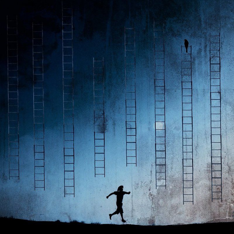 concept, conceptual, surreal, milad safabakhsh, fineart, human, ladder, bird, Grace for drowning фото превью