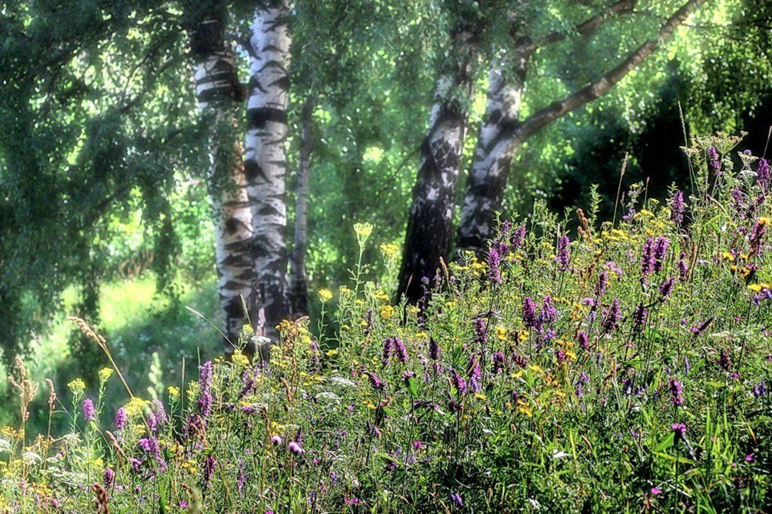 , Валерия Струнникова