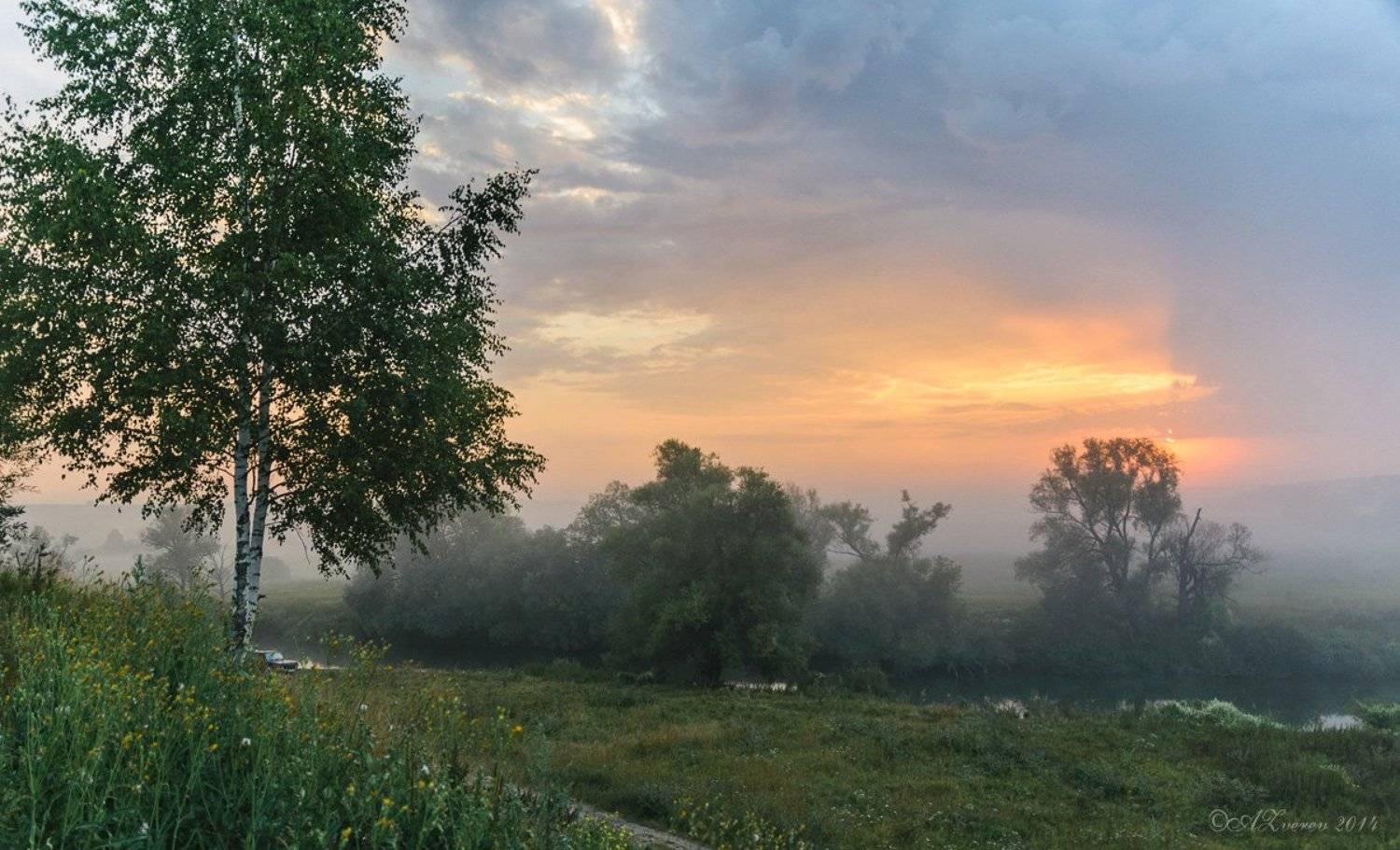 , Анатолий Зверев