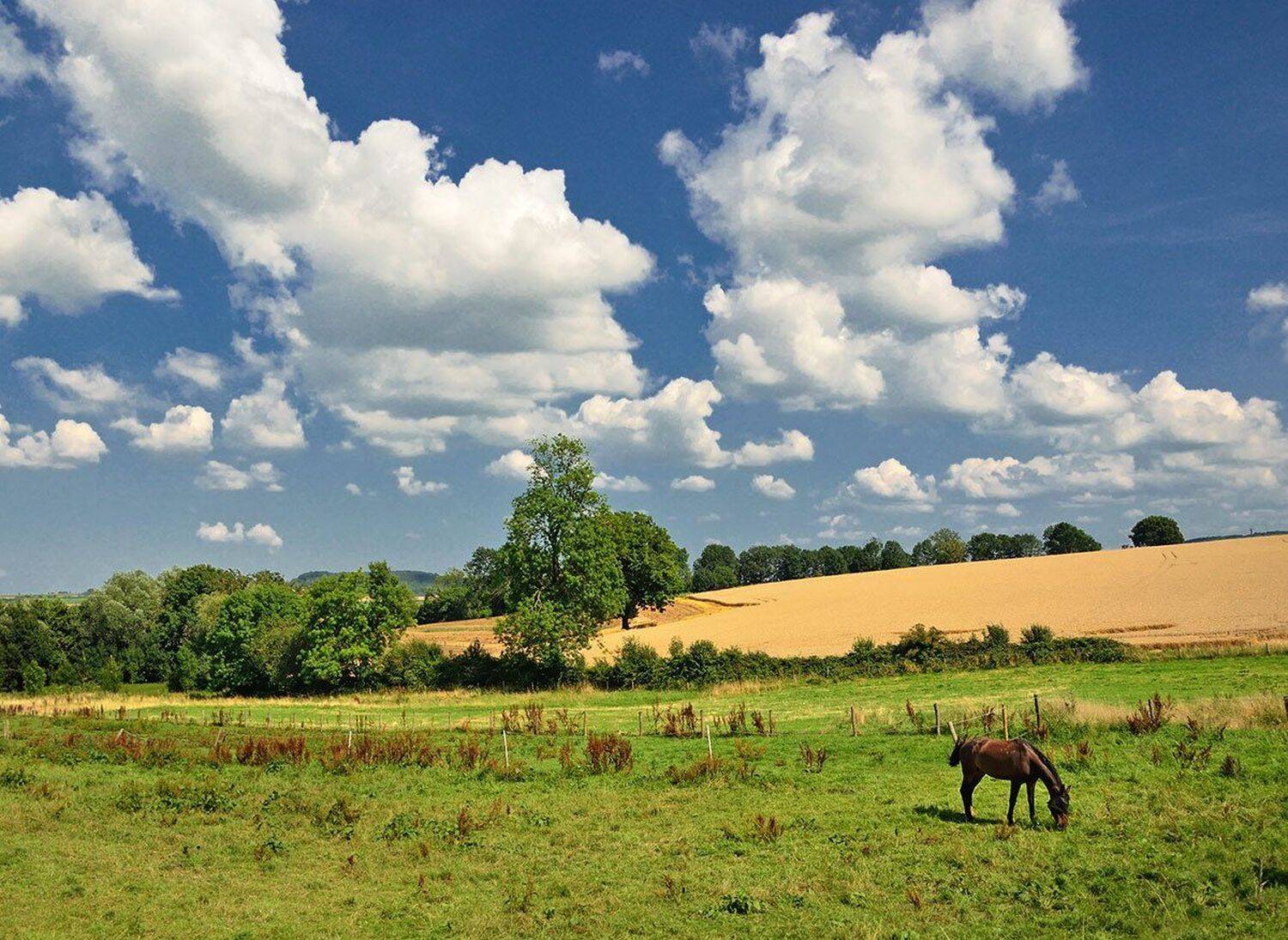 , Борис Алабугин