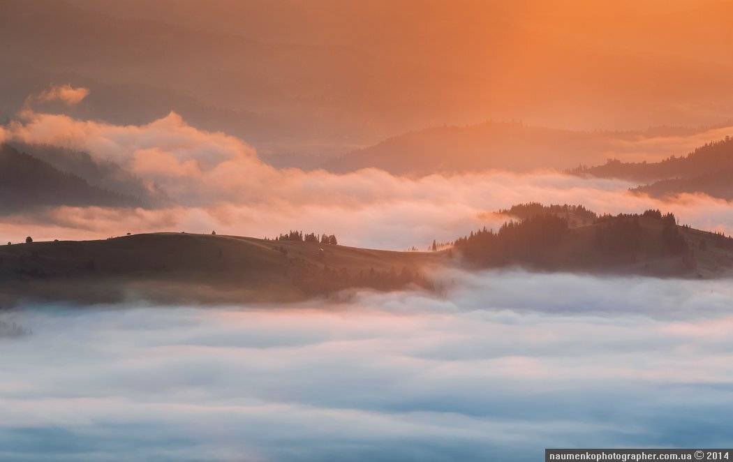 карпаты,	пейзаж,	рассвет, туман,	туманное утро, украина,	утро,	дземброня, Александр